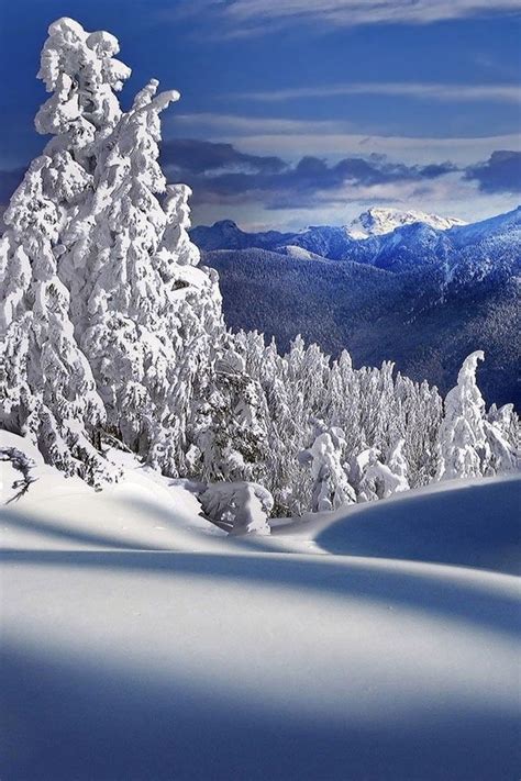 Snow valley adelboden nature winter wonder winter landscape winter scenery winter pictures snow scenes scenery. Winter wonderland | Winter scenery
