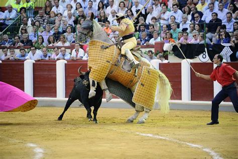 Los Toros Son Una Fiesta Ritual No Un Espectáculo Federación Taurina