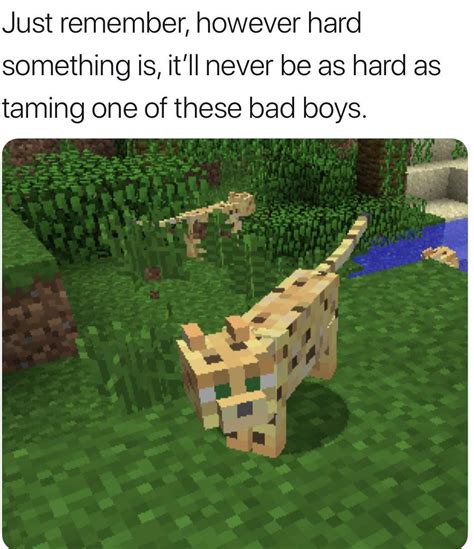 Never Again In 2020 Minecraft Memes Minecraft Funny Minecraft