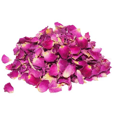 Rose Petals Png Isolated Photos Png Mart