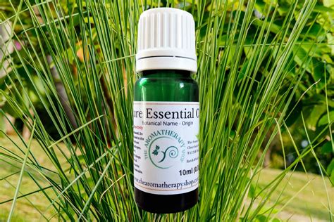 Vetiver Pure Essential Oil The Aromatherapy Shop Ltd