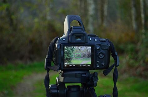 The 5 Best Budget Cameras For Video Photography Concentrate