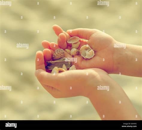 Hands Holding Shells Beach Hi Res Stock Photography And Images Alamy