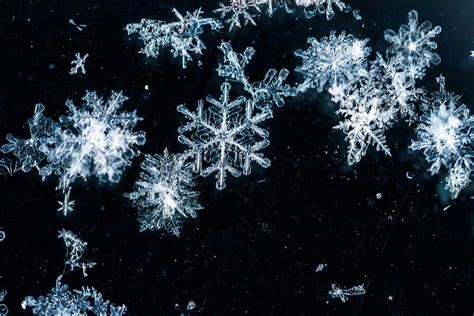 Myth Buster No Two Snowflakes Are Alike Very Likely But Its Hard To