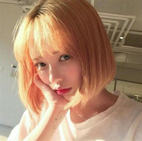 Pin By 𖤩⠀݁ 𝗯𝕒𝕟̶𝗴𝗹𝗲 ᵎ 𔘓 🌷 On Only Girls Girl Short Hair Korean Hairstyle Short Hair Styles
