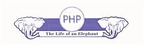 Why companies are using php for web development? - CPD Technologies