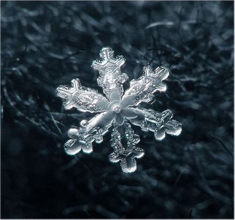 Unique And Beautiful Snowflakes 49 Pics