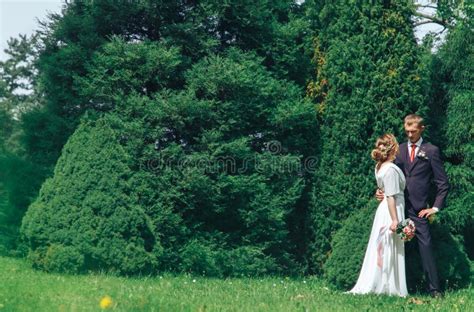 The Bride And Groom Are Talking In The Park On Their Wedding Day On A