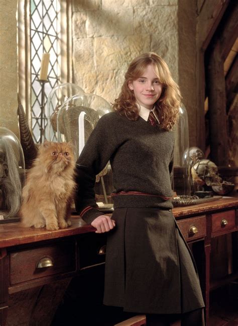 Cat Hermione Granger Crookshanks Emma Watson Harry Potter Harry Potter Film Harry Potter