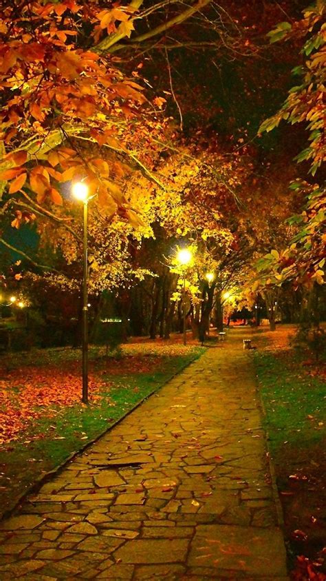 Hd Autumn Night Wallpapers Wallpaper Cave