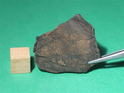 Nwa 1067 E6 Enstatite Chondrite Meteorites For Sale
