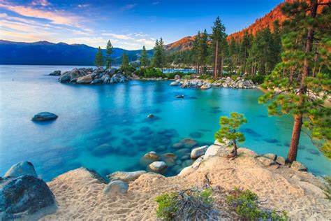 Download Tree Turquoise Lake Nature Lake Tahoe 4k Ultra Hd Wallpaper