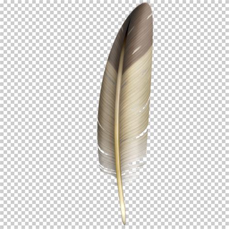 Feather (Texture)