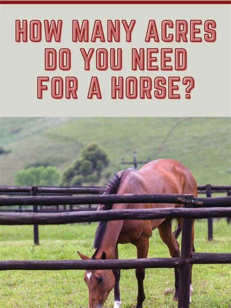 How Many Acres Do You Need For A Horse Helpful Horse Hints