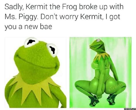 Meme Saly Kermit The Frog Broke Up With Ms Piggy Dont Worry Kermit I Got You A New Bae Picture