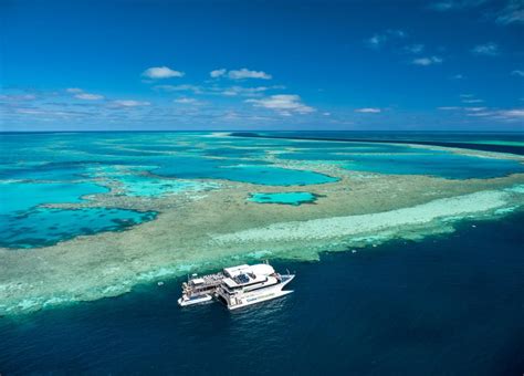 Great Barrier Reef Adventure With Cruise Whitsundays