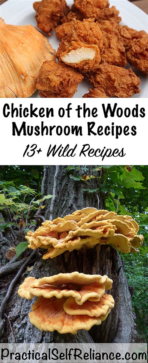 Now, the chicken of the. Chicken of the Woods Mushroom Recipes