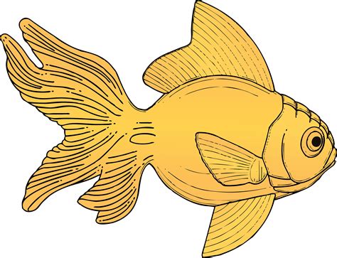 Clipart Fish