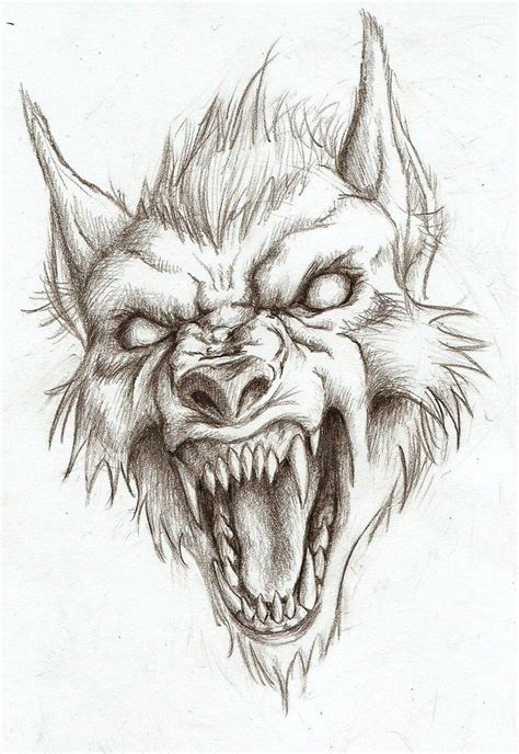 Ferocious Werewolf By Artisticdane Werewolf Drawing Scary Drawings