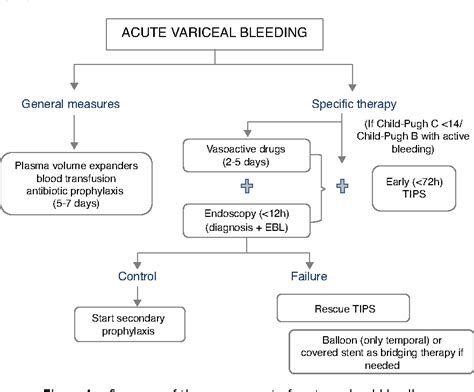 Figure 1 From An Update On The Management Of Acute Esophageal Variceal