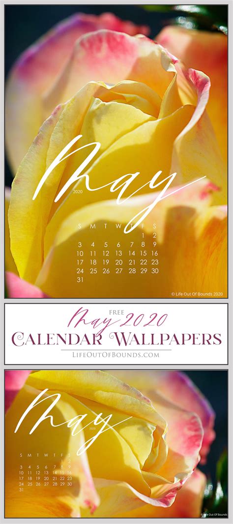 May 2020 Calendar Wallpapers Calendar Wallpaper Wallpaper Computer