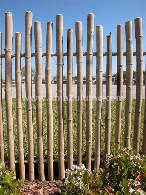 Rustic Bamboo Fencing From Amazulu Inc Bamboo Fence Bamboo Garden