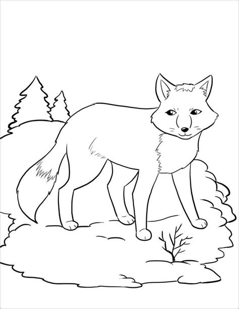 Arctic Fox Coloring Page - ColoringBay
