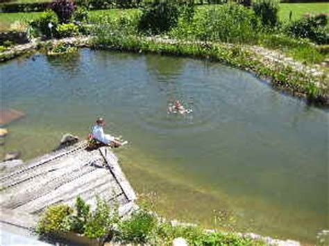 Schwimmteich bauen oder lieber bauen lassen? Schwimmteich, Schwimmteich im Garten