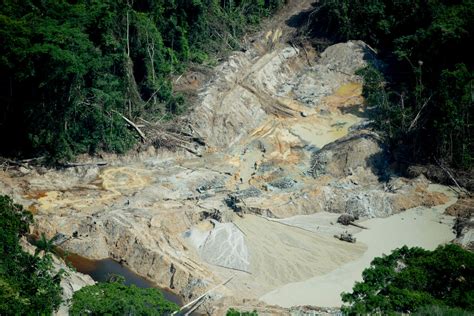 How Illegal Gold Mining Threatens Biodiversity In The Amazon