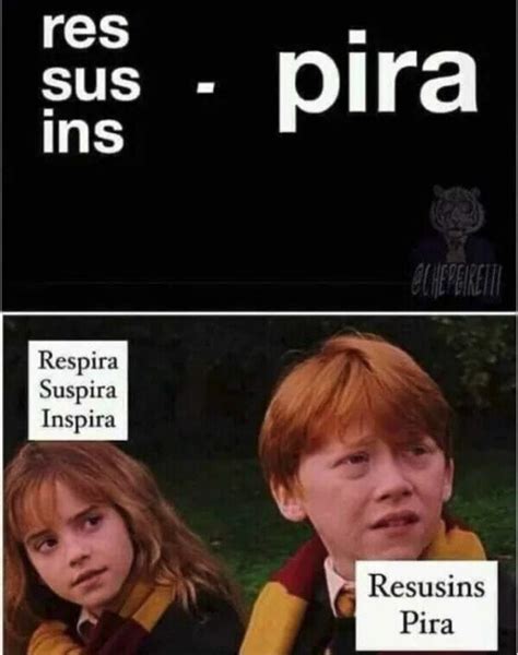 Dank Meme De Harry Potter Meme Subido Por Reginourban Memedroid