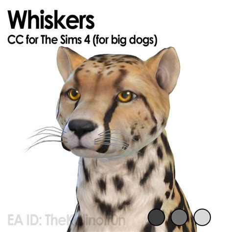 Whiskers For Dogs And No Whiskers For Cats At Kalino Sims 4 Updates