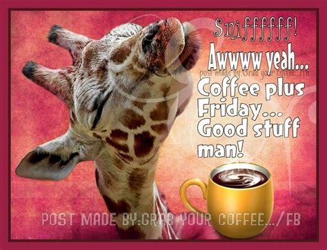 Aw Yeahcoffee Plus Fridaygood Stuff Man Fridayquotes In 2020