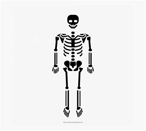 Skeleton Body Icon Png Free Transparent Clipart ClipartKey