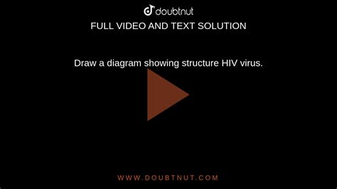 Draw The Diagram Showing The Structure Of Hiv Class Biology Cbse Hot Sex Picture