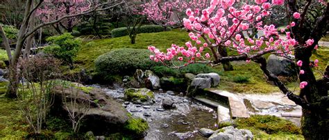 Japan During The Cherry Blossom 2022 Asa Cultural Tours