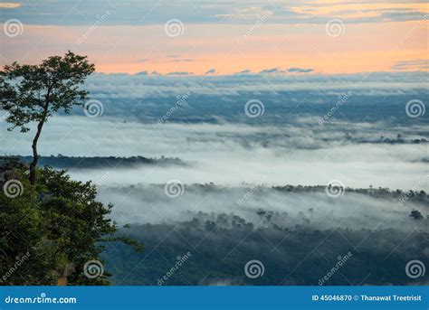 Morning Mist And Sunrise Cliff Tropical Mountain Stock Photo Image