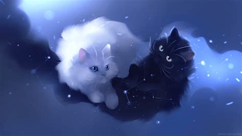 Black White Cats Anime Images