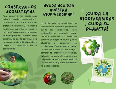 Tríptico Biodiversidad Axel Vasquez uDocz