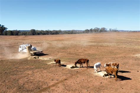 Restrictions Loom Busload To Visit Drought Affected Areas Newcastle