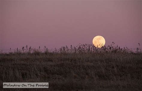 Prairie Moonrise Window On The Prairie
