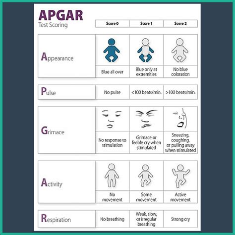 Infants Scores On Apgar Scale Can Predict Risk Of Cerebral Palsy Or