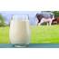 Health Ministry Emphasizes Importance Of Milk In Diet  Financial Tribune