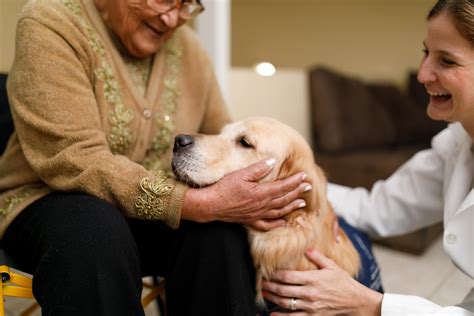 Pet Therapy Provides Key Benefits To Home Health Care Patients
