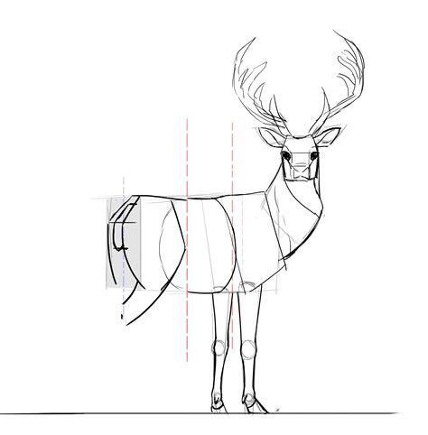 Comment dessiner un cerf  Cerf dessin, Dessin, Comment dessiner