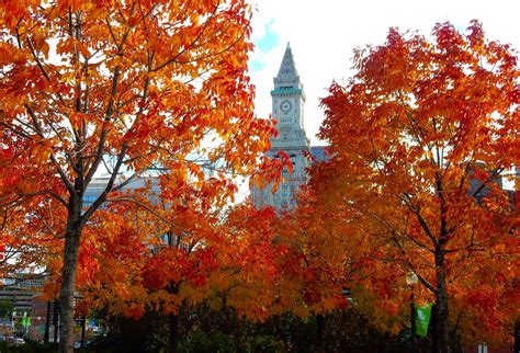 Classic Fall Foliage Journey Globus Tours