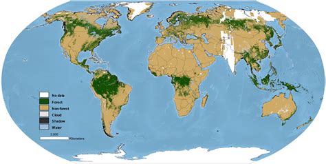 Researchers Create Global Map Of Worlds Forests Circa 1990