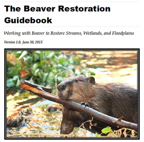 The Beaver Restoration Guidebook Working With Beaver To Restore