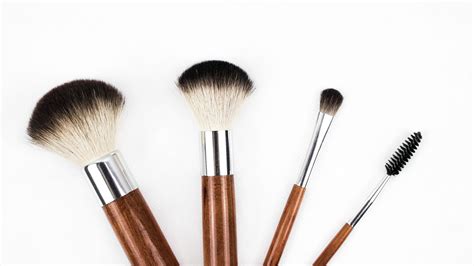 learn what each type of makeup brush is used for reviewthis