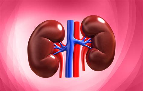 Study Important To Consider Cause Of Kidney Failure When Planning