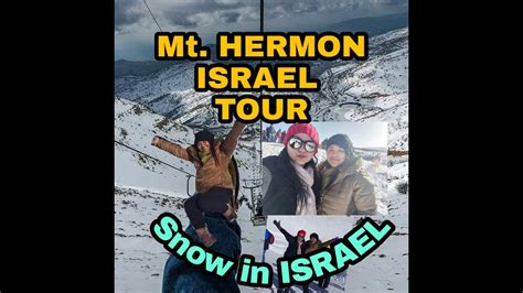 How can i go redwood canopy tour? Mt.Hermon Tour🇮🇱🇮🇱🇮🇱(my SNOW DIN SA ISRAEL) - YouTube